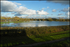flooded fields near Yarnton