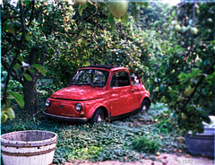 Fiat 500 als Kinderspielplatz in unserem Garten, abgemeldet 1981
