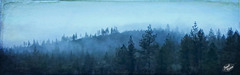 fog-on-the-hill-pano