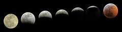 Blood Wolf Moon Eclipse