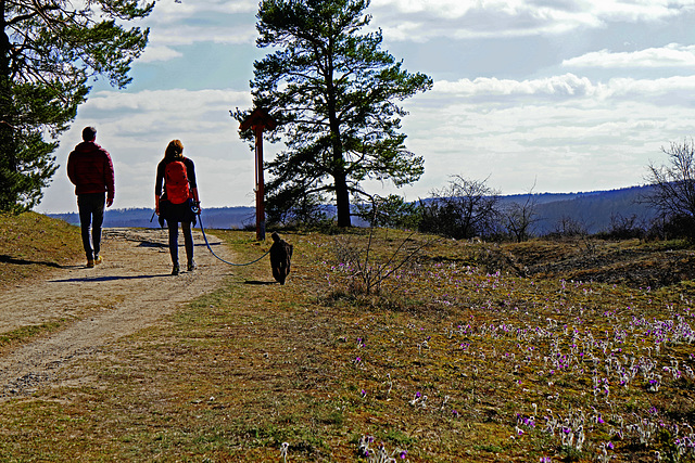 Osterspaziergang - Easter walk