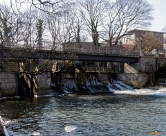 Winter in Braunschweig: die Petriwehrbrücke (2*PiP)