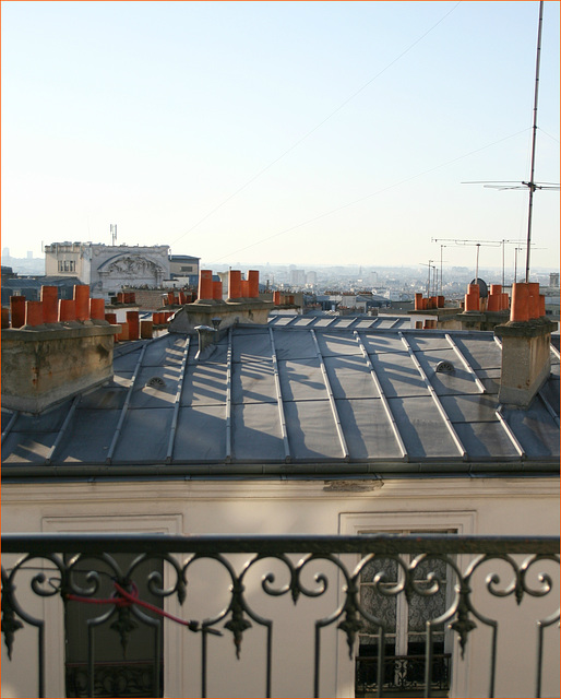 HFF - Roof in Paris