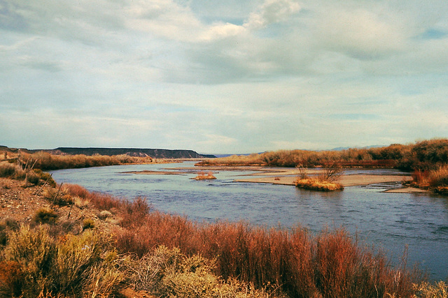 Rio Grande near Albuquerque (NM)