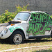 Benson Beetles (3) - 11 May 2023