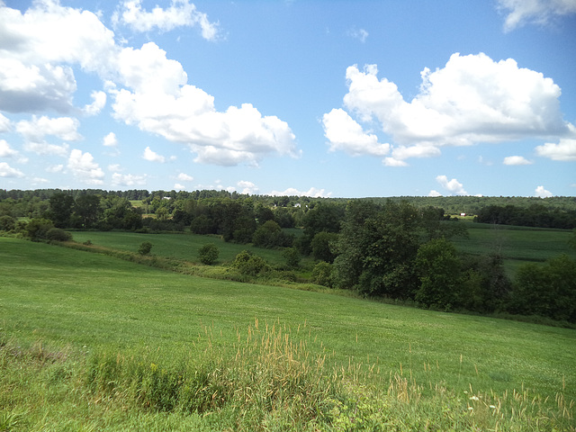 Customs landscape / Paysage douanier