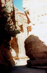 Al-Siq - the canyon that leads to Petra.