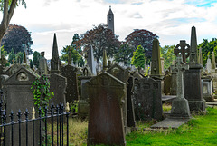 PHOTOGRAPHING OLD GRAVEYARDS CAN BE INTERESTING AND EDUCATIONAL [THIS TIME I USED A SONY SEL 55MM F1.8 FE LENS]-120193