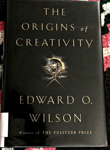 The Origins of Creativity