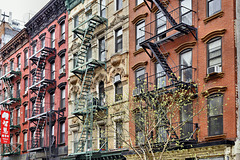 Mini Ivy – Eldridge and Broome Streets, Lower East Side, New York, New York