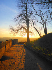 Festung - citadelo 'Königstein' - Sachsen