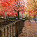 Autumn in Portland (or: a memory of fresh air)