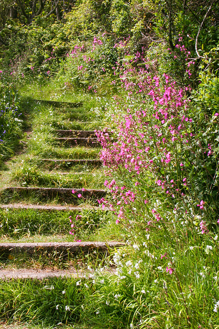 Flowery steps
