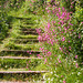 Flowery steps
