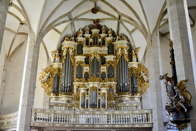 Merseburg 2017 – Dom – Organ