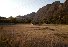 Agriculture électrique dans la campagne laotienne
