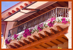 Balcón floreado