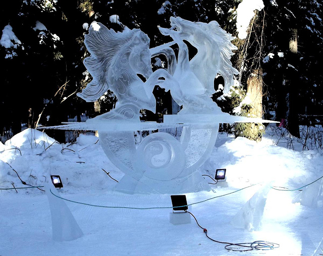 2019 ice carving competition 7
