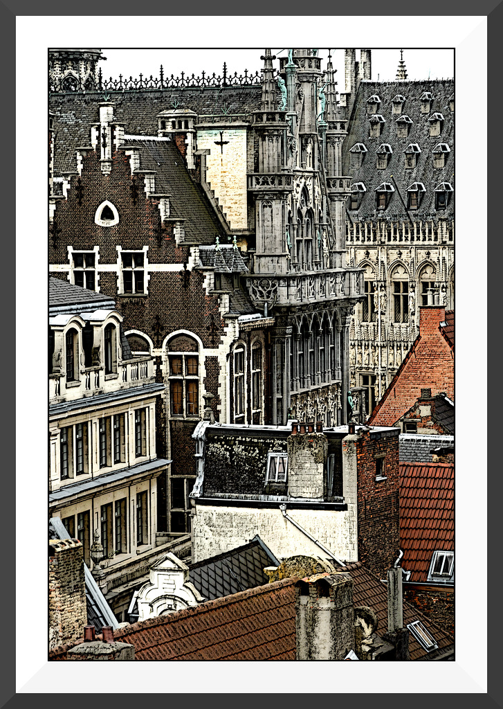Les toits de Bruxelles II