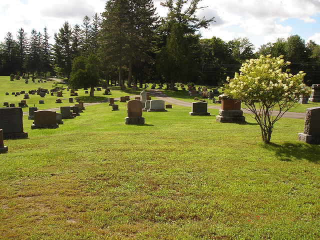 Funeral greenery
