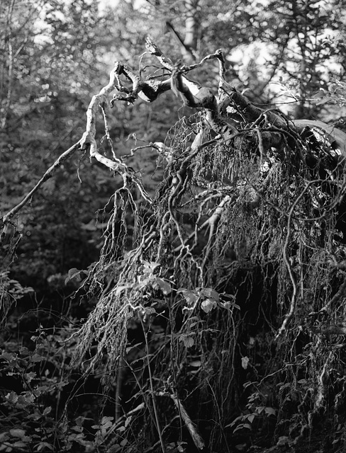 30(2015) 0006 30(2015) 0006