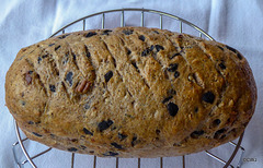 Wholemeal multi-seeded bread.