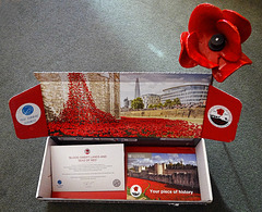 'Blood Swept Lands And Seas of Red' Poppy from the installation to commemorate the 100 years since World War 1