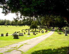 Funeral greenery