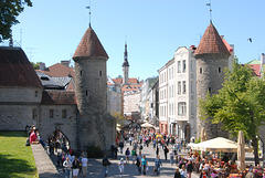 Tallinn - Quirliges Treiben in der Altstadt