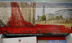 'Blood Swept Lands And Seas of Red' Poppy from the installation to commemorate the 100 years since World War 1