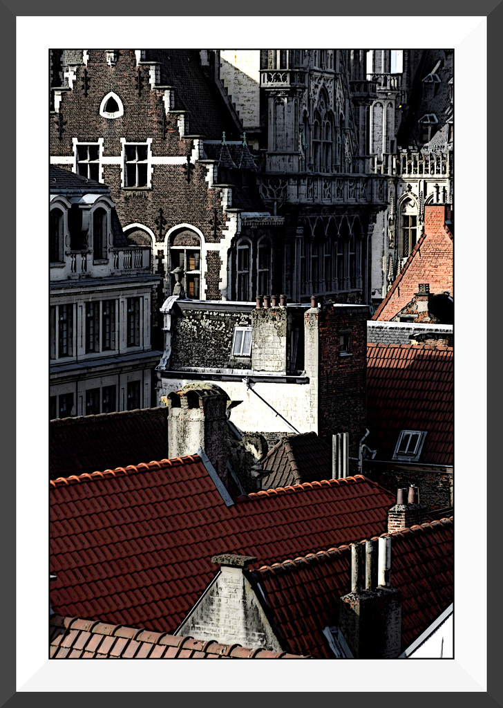 Les toits de Bruxelles III