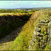 Cornish country lane and granite wall
