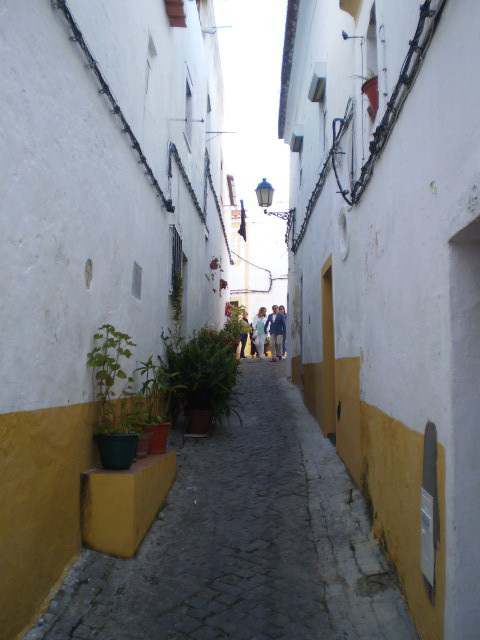 Narrow street in the historic centre.