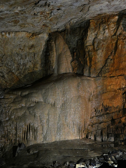Vjetrenica Caves