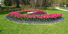 Tulpenpracht im Schlosspark Morges