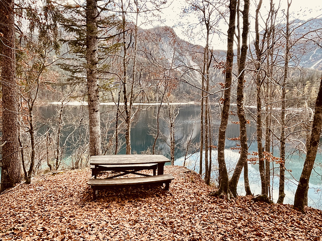 an autumn bench