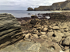 Basset Cove at low tide.