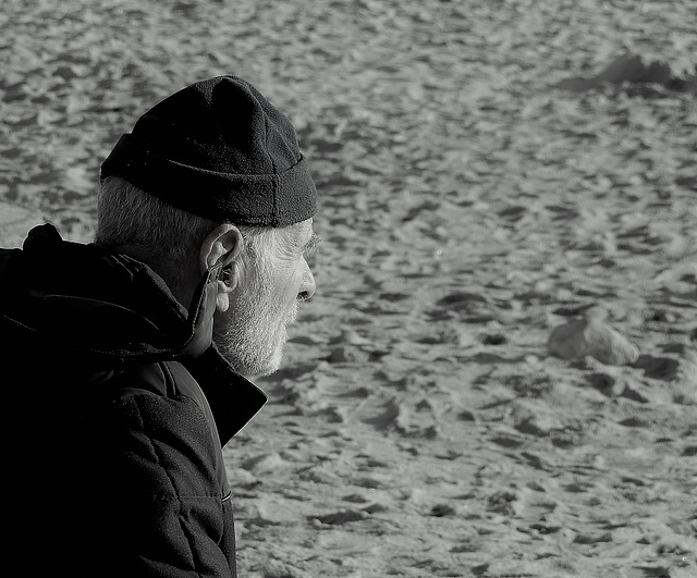 le vieil homme et la mer