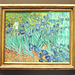 Irises by Van Gogh in the Getty Center, June 2016