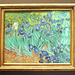 Irises by Van Gogh in the Getty Center, June 2016