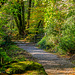 Pathway and Gate, Bystock Nature Reserve, Devon