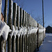 Frosty Fence Friday