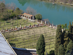 Vinyard with statues