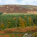Longdendale Autumn panorama