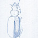 Amblytelus brevis (Carabidae - Psydrinae)