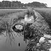 Irrigation channel_August