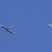 Ryanair Boeing 737-800 and Turkish Airlines Airbus A330