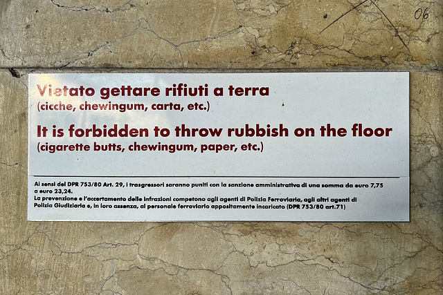 Venice 2022 – It is forbidden to throw rubbish on the ﬂoor