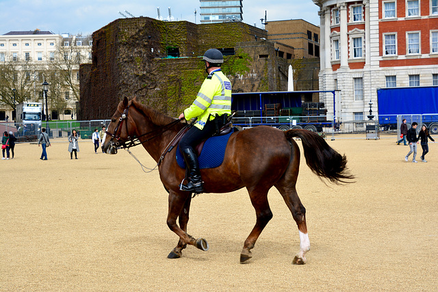 England 2016 – London – Brown horses go to the police
