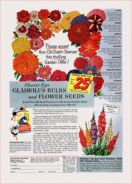 Old Dutch Cleanser Ad, c1955